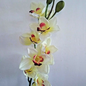 Artificial Cymbidium Orchid Stems