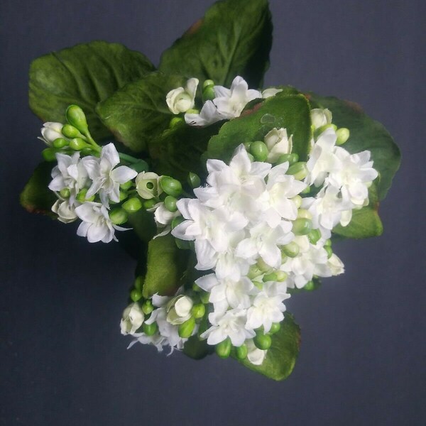 Artificial Kalanchoe Plant Etsy