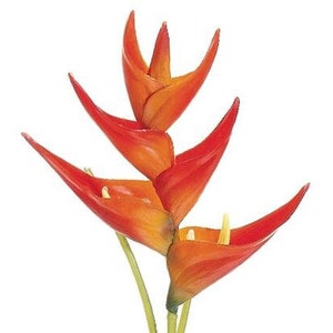 34&quot; Heliconia stem ORANGE