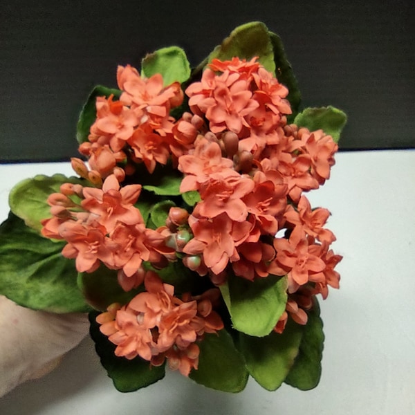 Artificial Kalanchoe Plant Etsy