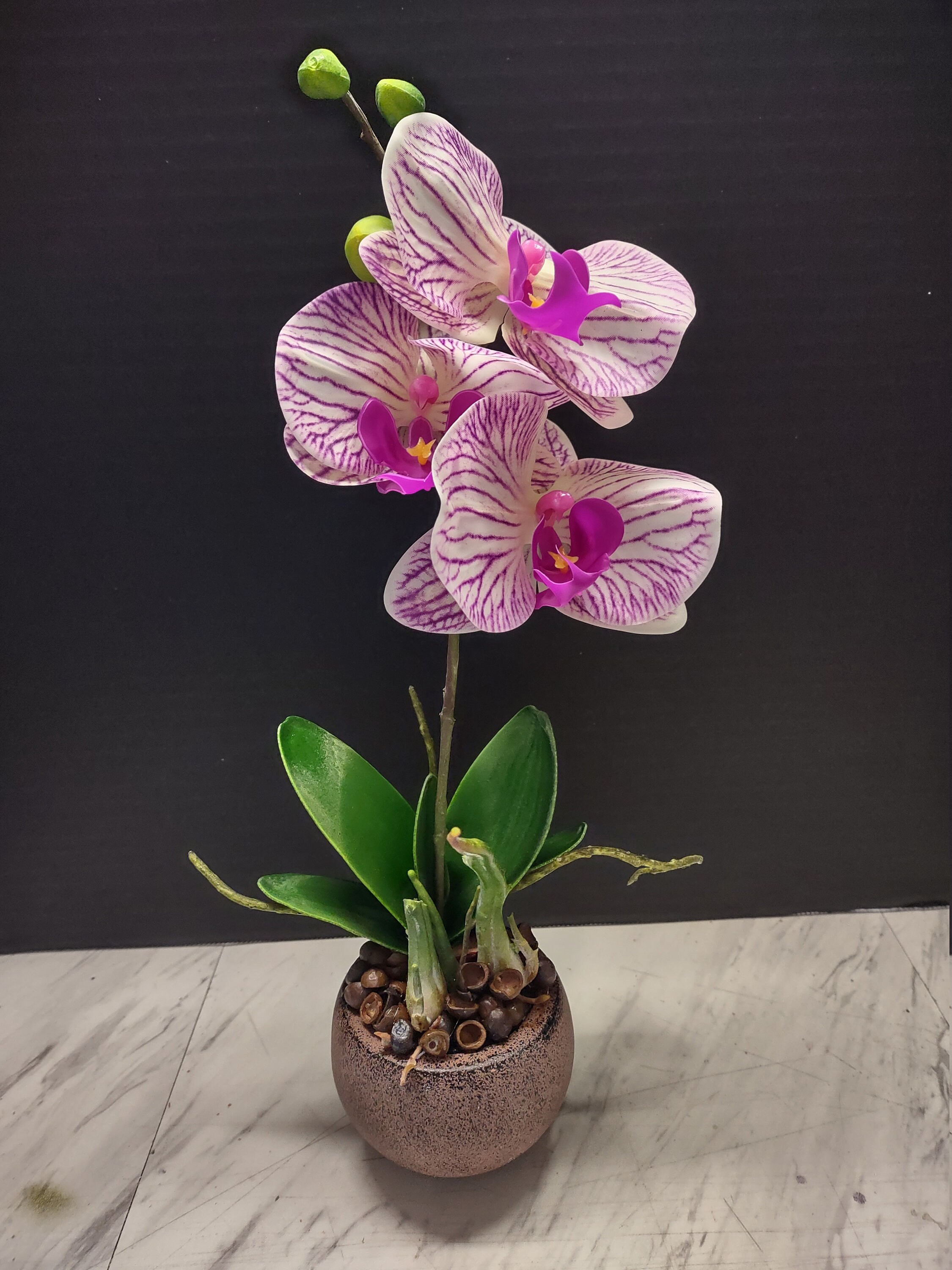 Miniature Artificial phalaenopsis Orchid Silk Orchids RASPBERRY Real