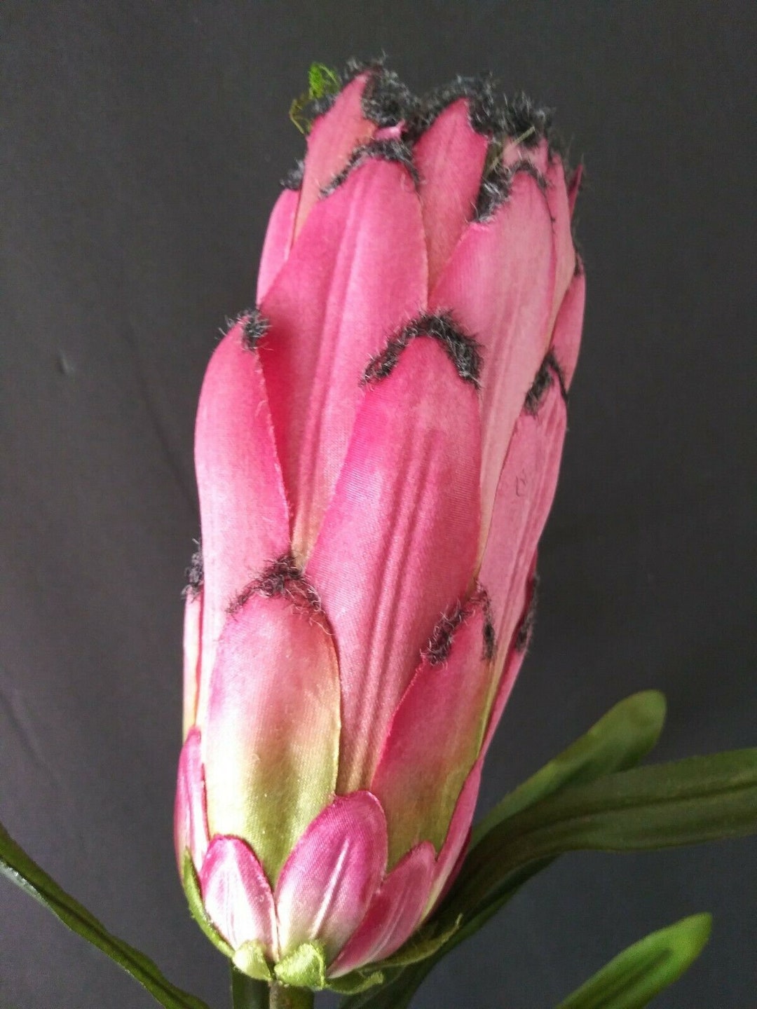 Artificial Protea Stems. Hawaiian Flowers. Tropical Flowers Dark Pink