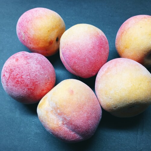 Faux Fake Fruit 2 Fuzzy Peaches Plastic Decorative Staging Prop 