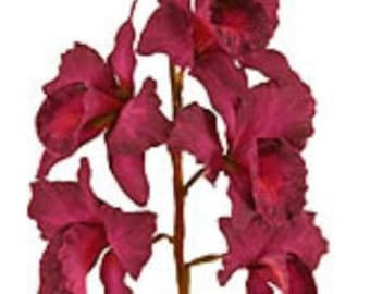 Artificial Mini Cattleya Orchid stem DEEP burgundy