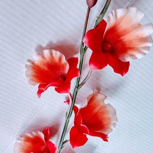 Artificial miltoniopsis orchid stem  CORAL/PEACH