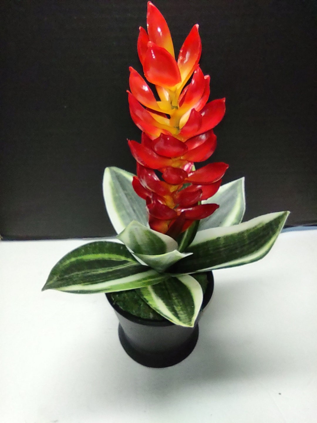 Mini Artificial Bromeliad POTTED Plant ORANGE Etsy