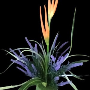 Heliconia Table Decoration Tropical Flower Arrangement