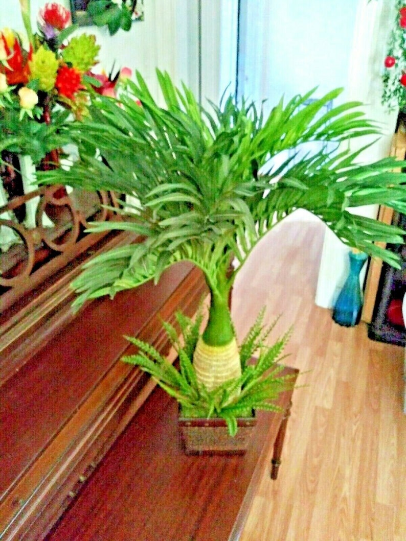 31 Artificial Bottle Palm Tree bonsai Silk Flower Etsy