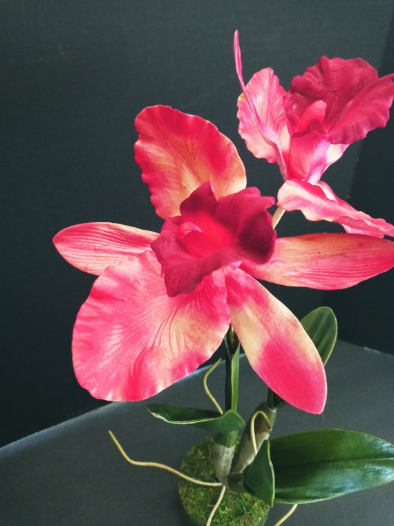 Home Décor Vintage Cattleya Orchid WO pot Silk Flowers Plants Floral