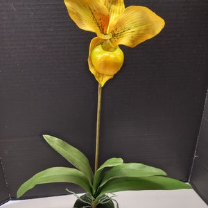 Large Artificial Paphiopedilum Lady Slipper Orchid on disc YELLOW image 1