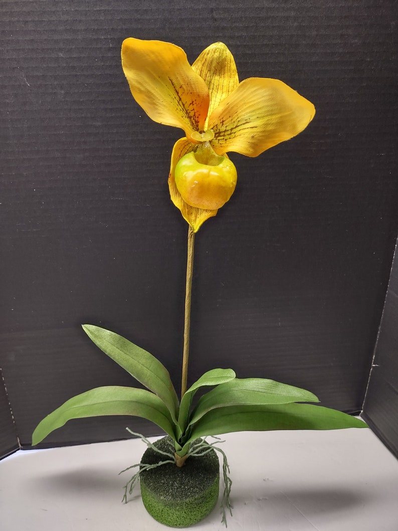 Large Artificial Paphiopedilum Lady Slipper Orchid on disc YELLOW image 1