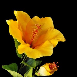 Artificial large Yellow Gold Hibiscus stem