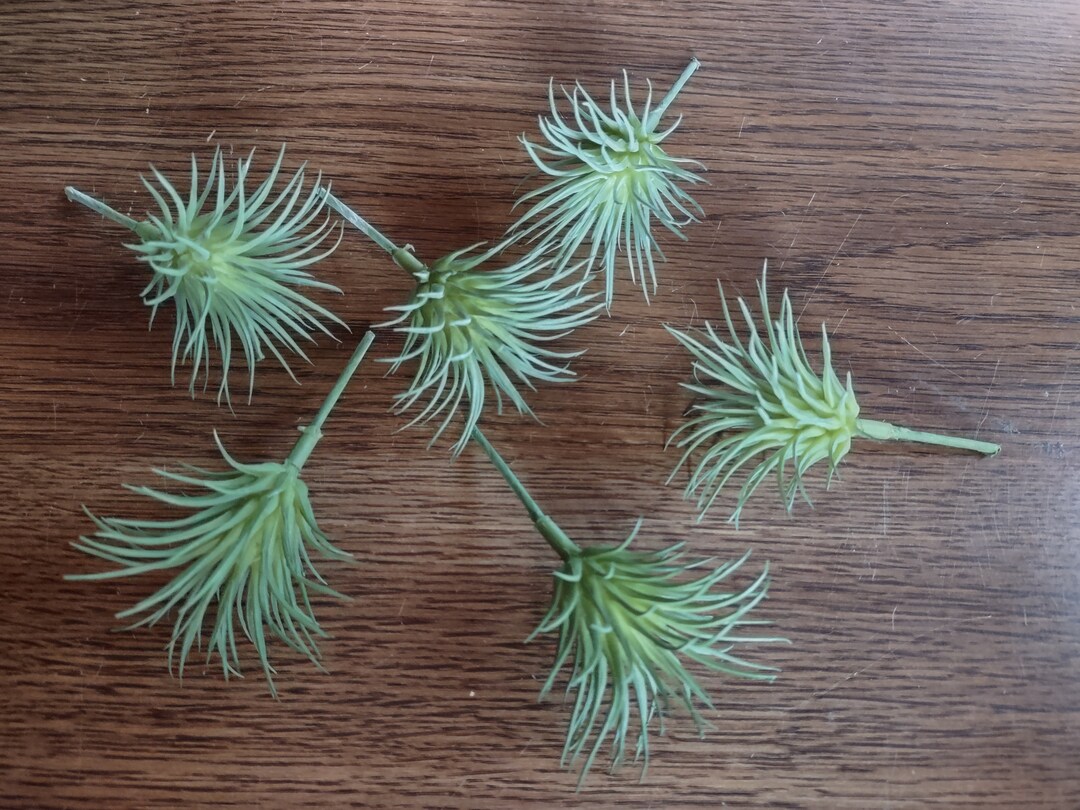 GREEN Mini Artificial Air Plants Tillandsia Silk Flowers Etsy