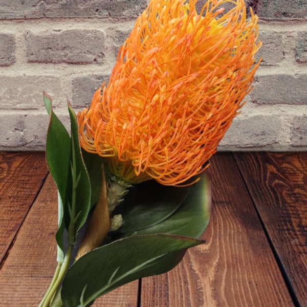 Orange Needle Banksia protea stem