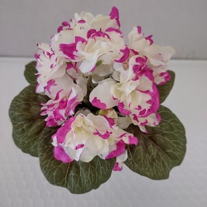 6&quot; ARTIFICIAL Miniature African Violet (FUCHSIA TIPS)