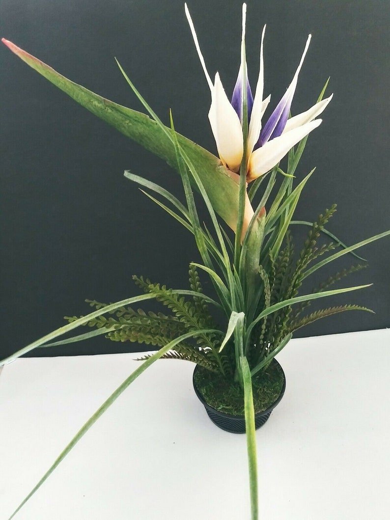 White Artificial bird of paradise Potted Plant. Silk Flower Etsy