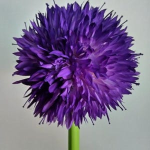 Artificial 26" allium stem DEEP PURPLE