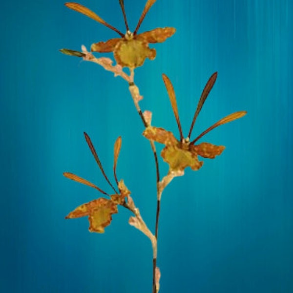 Artificial Zygopetalum orchid stem 254266