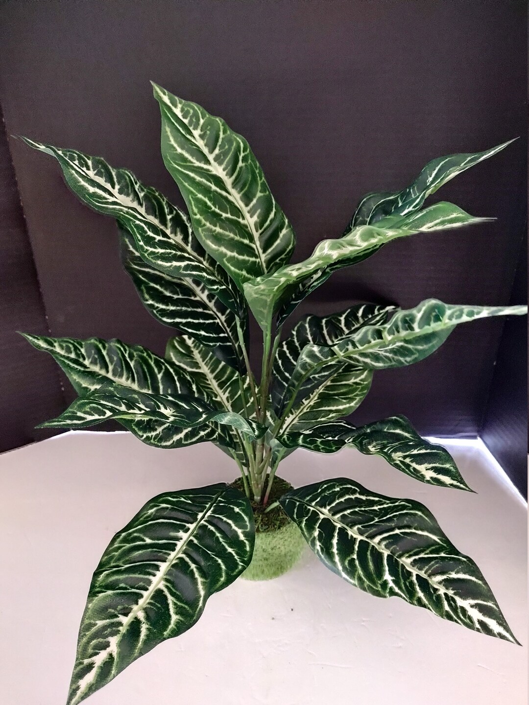Artificial Zebra Plant Silk Flower Floral Arrangements LG Etsy
