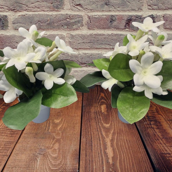 Cute little artificial mini stephanotis flower arrangements in 2" hard plastic pots
