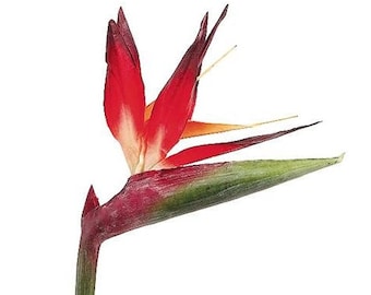 31&quot; Artificial bird of paradise tropical stem