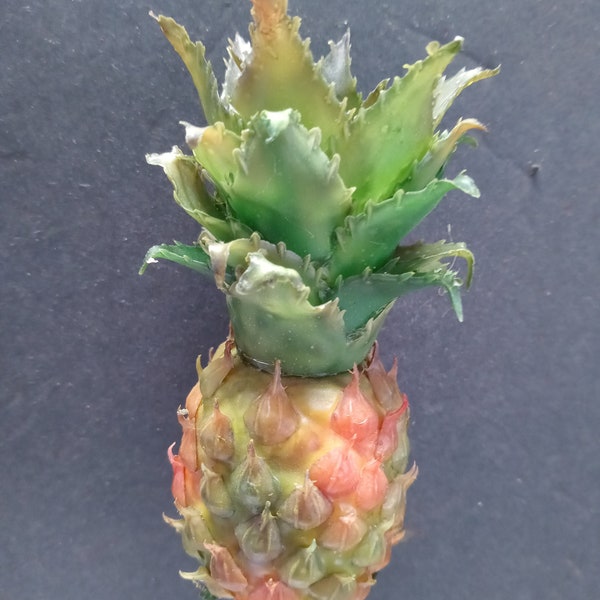 14.5" Pineapple Stem. Silk Flower Floral Arrangements. FP5234RGR  ORANGE