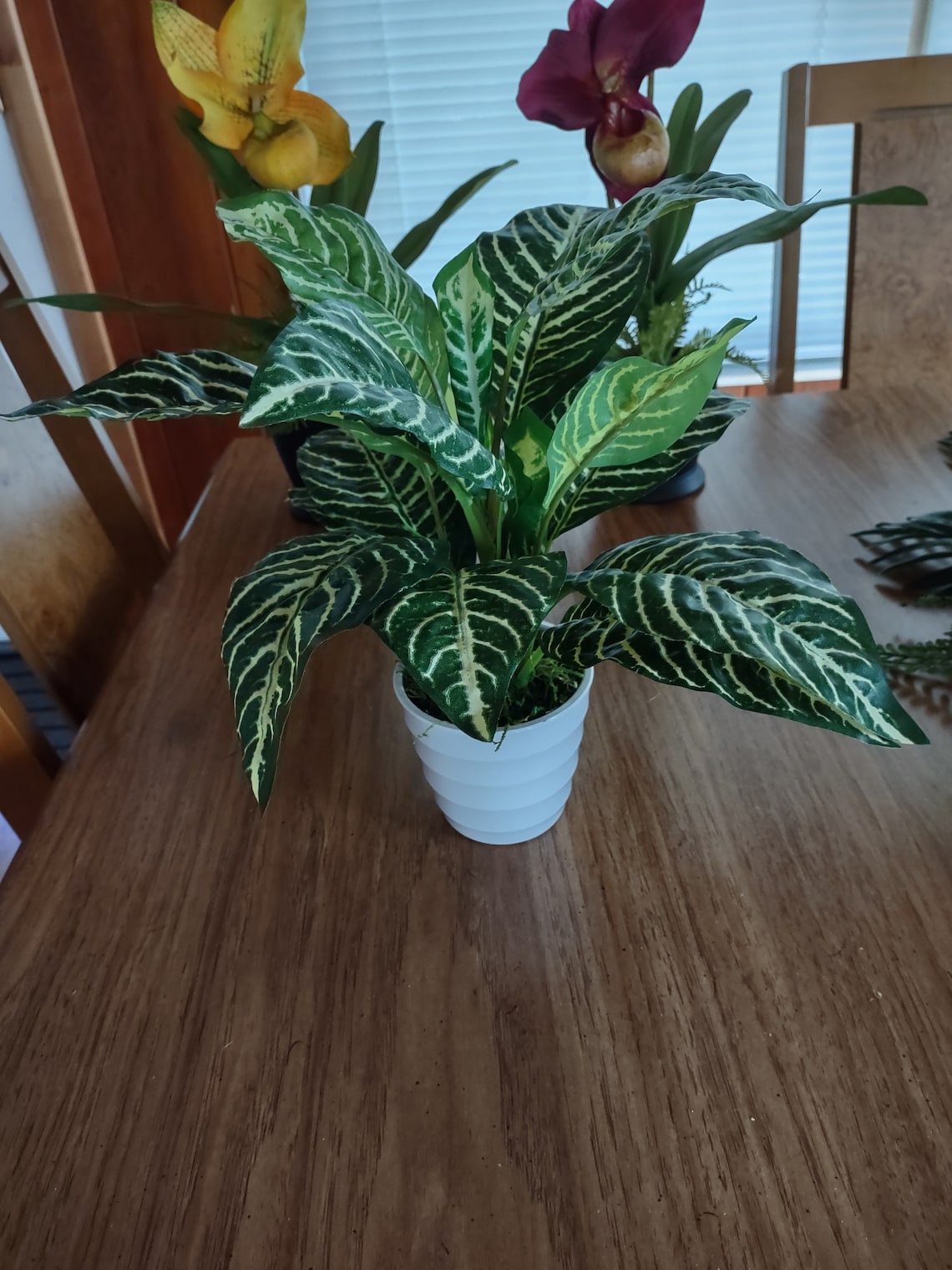 Artificial Zebra Plant Silk Flower Floral Arrangements With Etsy