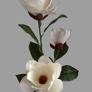 Puede incluir: Un ramo de tres flores blancas de magnolia con centros marrones. Las flores est&aacute;n dispuestas en un tallo con hojas verdes.