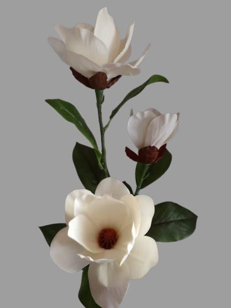 Puede incluir: Un ramo de tres flores blancas de magnolia con centros marrones. Las flores est&aacute;n dispuestas en un tallo con hojas verdes.