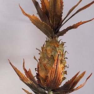 Op de afbeelding: Gedroogde ananasplant met bruine en groene bladeren. De bladeren zijn lang en dun, en de ananas is klein en bruin.