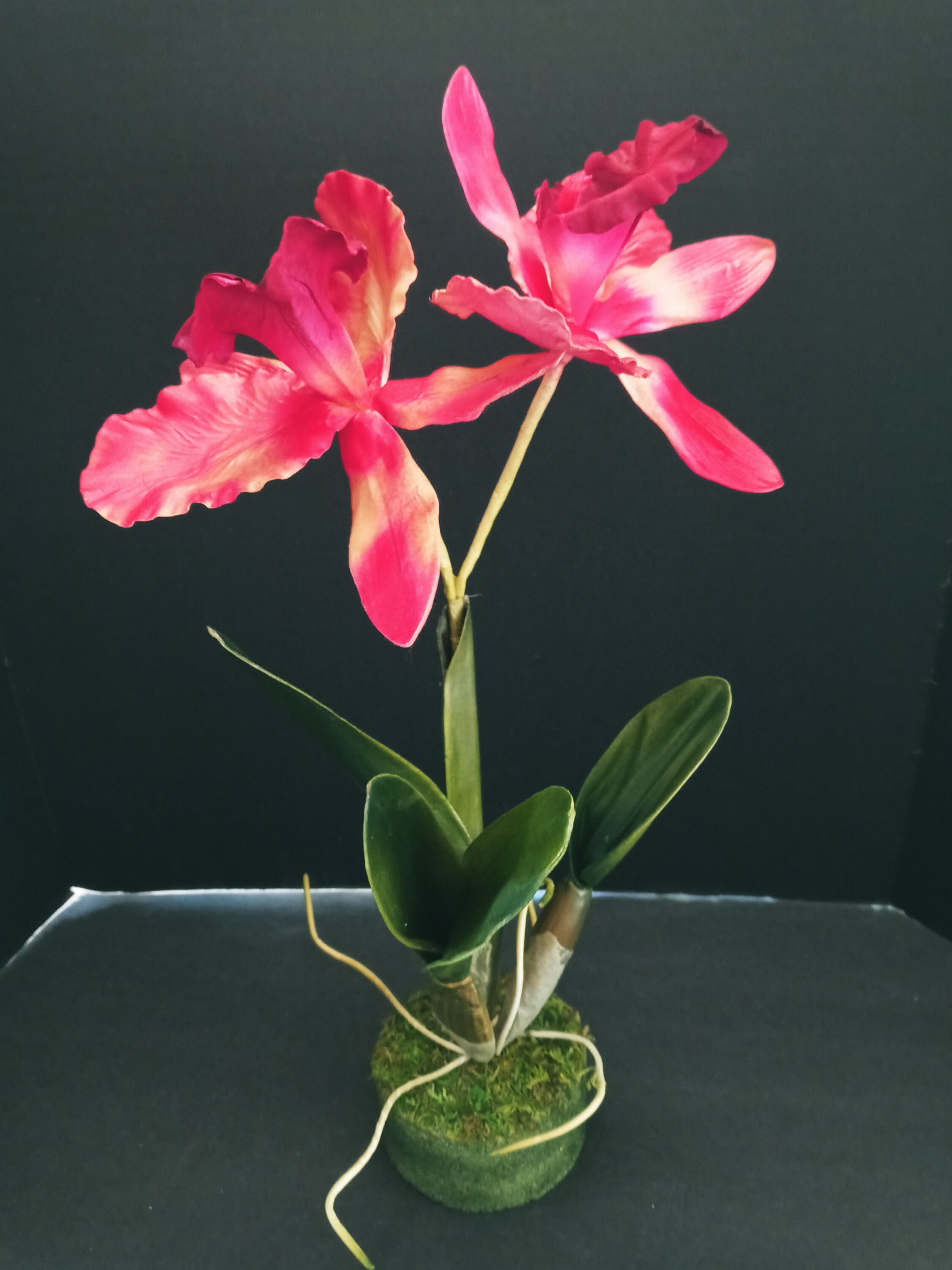 Home Décor Vintage Cattleya Orchid WO pot Silk Flowers Plants Floral