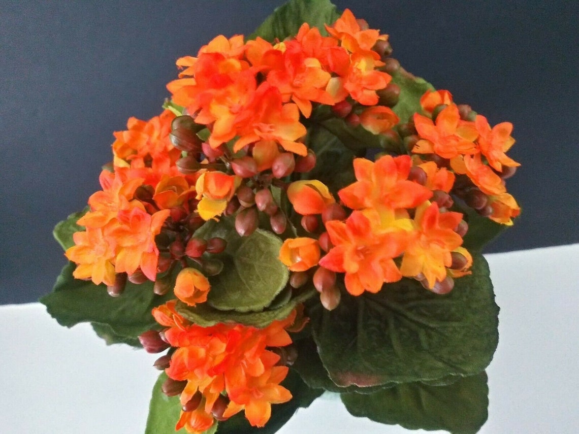 Artificial Kalanchoe Bush. Silk Flower Floral Arrangements OR Etsy