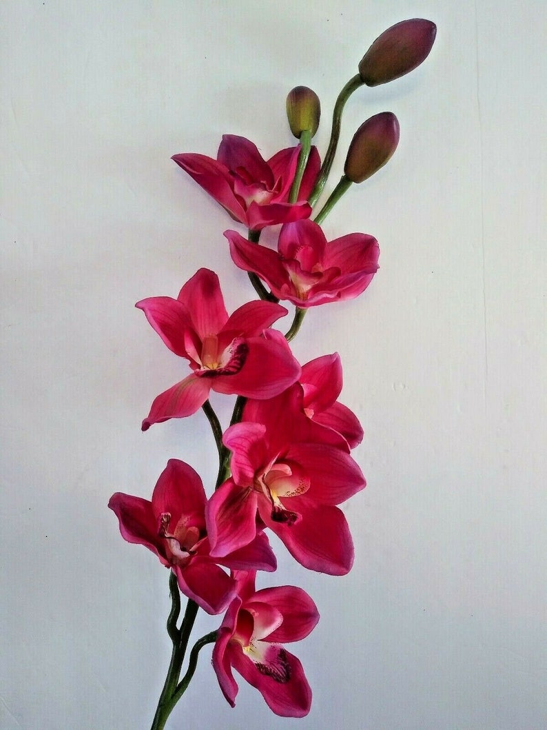 Artificial Cymbidium Orchid Stems Etsy