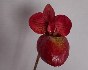 Mini Artificial Paphiopedilum Lady Slipper Orchid With roots BURGUNDY