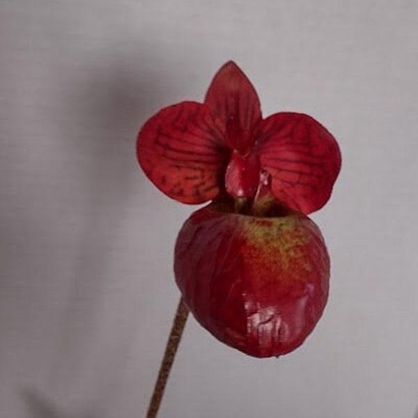 Mini Artificial Paphiopedilum Lady Slipper Orchid With roots BURGUNDY