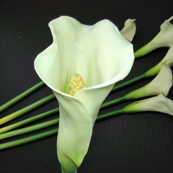 Mini Calla Lily - Etsy