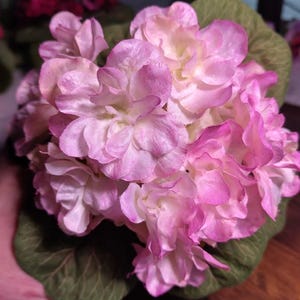 6&quot; ARTIFICIAL Miniature African Violet (Fuchsia Fantasy)