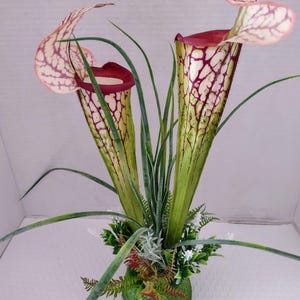 Artificial Pitcher Plant Carnivorous Plants Silk Flowers