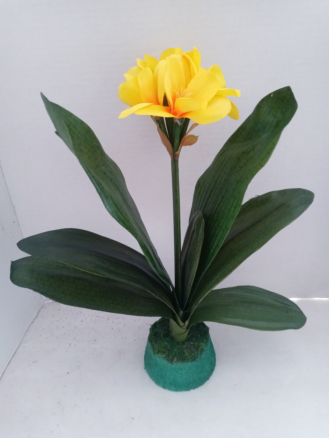 Artificiale Clivia Noblis Hybrid Pianta Tropicale W/O vaso Fiori di Seta -  Etsy Italia