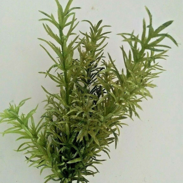 Artificial Herbs Etsy