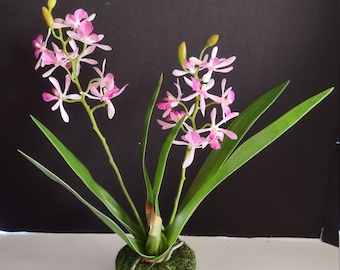 Kunstmatige Mini Cattleya Orchidee W/O pot LAVENDEL