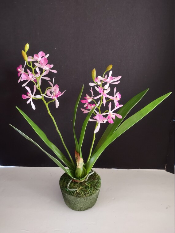 Knstliche Mini Cattleya Orchidee OHNE Topf LAVENDEL - Etsy sterreich