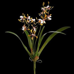 Op de afbeelding: Een kunstmatige orchideetak met meerdere delicate bloemen met witte bloemblaadjes en goudbruine harten. De plant heeft lange, slanke, donkergroene bladeren die uit een centrale stengel komen, wat zorgt voor een natuurlijk ogend botanisch arrangement.