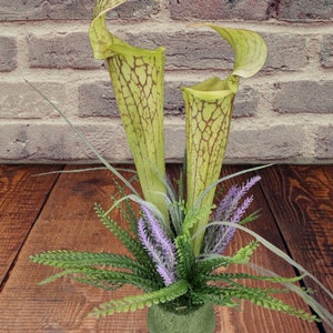 Artificial Pitcher Plant centerpiece. Carnivorous Plants Silk Flowers