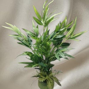 以下が含まれることがあります： 複数の茎と尖った鮮やかな緑色の葉を持つ装飾用の人工植物。植物の土台は苔で覆われた丸い容器で、主茎の根元にはシダのような繊細な葉が添えられています。