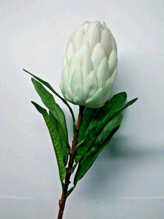 silk flower floral arrangements 24/" Protea blossom stem