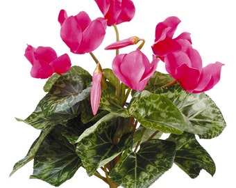 Large Artificial Cyclamen bush FUCHSIA (READ DESCRIPTION)