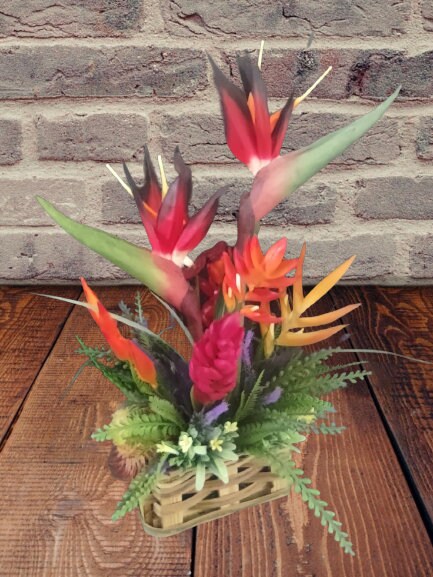 18+ Tropical Planter Ideas