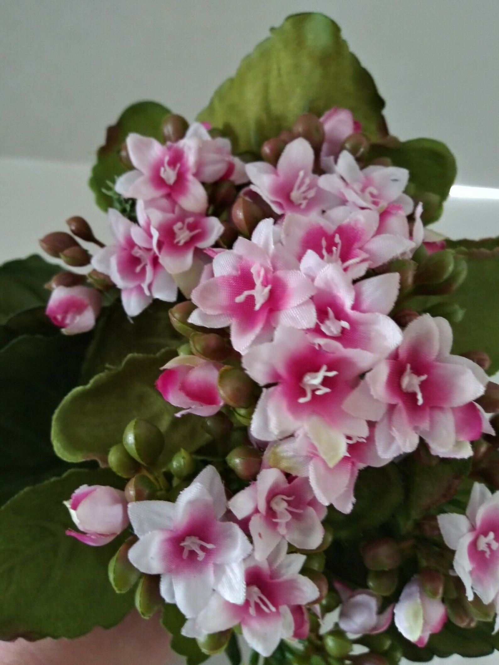 Artificial Kalanchoe Bush. Silk Flower Floral Arrangements PK Etsy