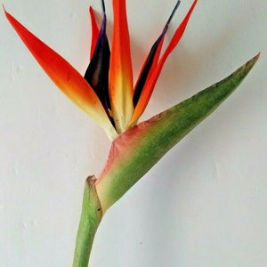31&quot; Artificial bird of paradise tropical stem. Silk flower floral arrangements OR